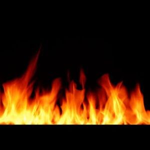 Meet your Posher, Daisy